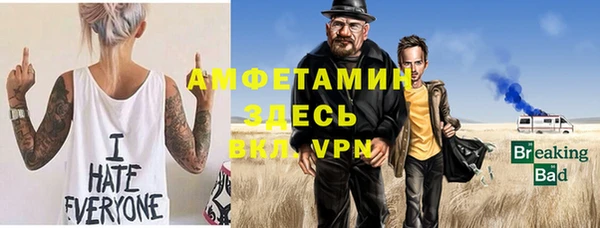 гидра Вяземский